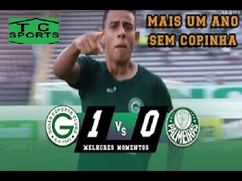 Goiás 1 x 0 Palmeiras Melhores Momentos  COPINHA 2020
