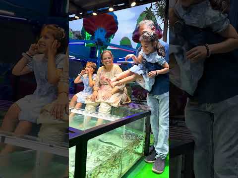 NR Fish Spa🥰 Besant Nagar beach +919952085544 #youtubeshorts #spa #cute #fish #yt #youtube #chennai