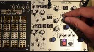 Make Noise Phonogene - What To Know & Where To Buy | Equipboard