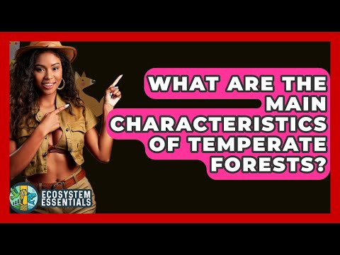 What Are The Main Characteristics Of Temperate Forests? - Ecosystem Essentials