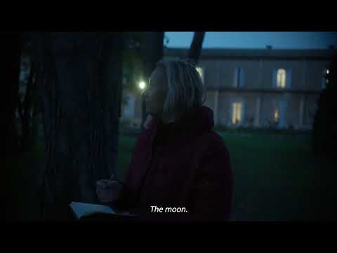 Letters to Vincent - Sheffield DocFest 2024