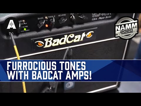 Furrocious Tones with Bad Cat Amps, Coming Soon! - NAMM 2020