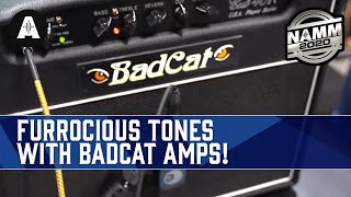 Furrocious Tones with Bad Cat Amps, Coming Soon! - NAMM 2020