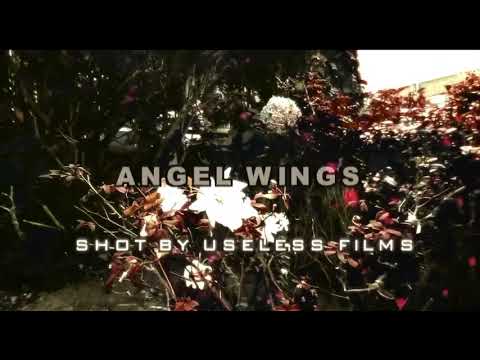 Fhn Mook - Angel Wings (Prod. By Mack V) [Official Video]