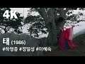 4K 태 1986 Life Line Tae