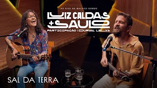 O Sal Da Terra Lyrics English Translation