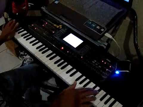 Tes langgam Konco Tani korg MA[micro Aranger]