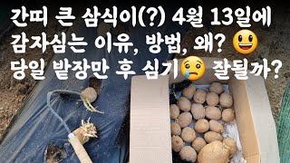 간띠 큰 삼식이
