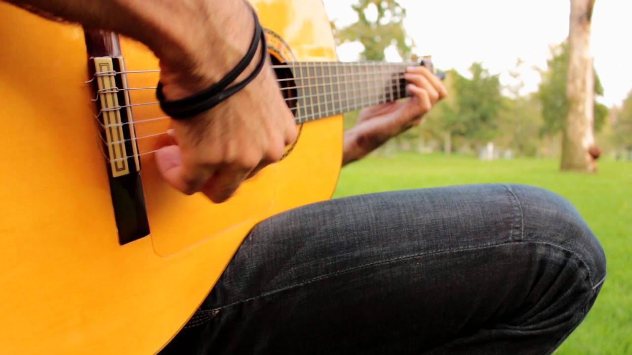 Promotional video thumbnail 4 for Prince Guitarist