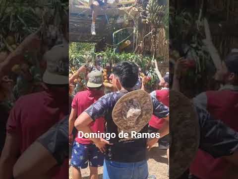 Diría Granada Domingo de Ramos huerto de Jesus  2026