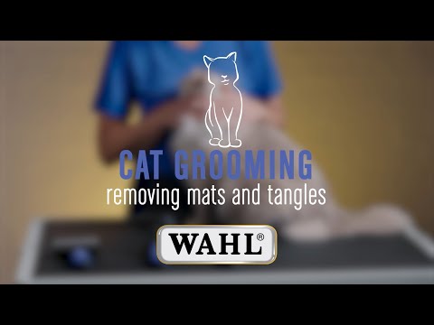 Easily Remove Mats & Tangles from your Cats Fur 😻