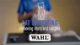 Easily Remove Mats & Tangles from your Cats Fur 😻