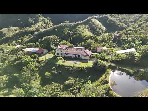 Guayacán EntreAguas - Alejandría, Antioquia