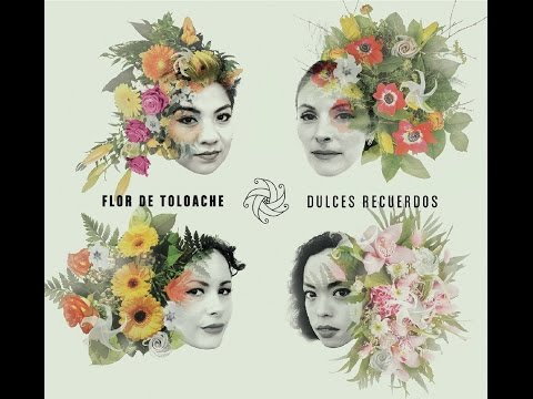 Flor de Toloache   Dulces Recuerdos Lyric Video