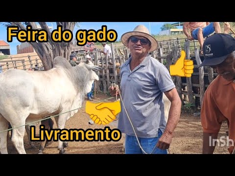 Feira do gado livramento PB 👍🤝🤣