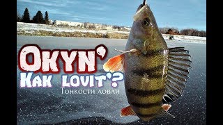 Ловля на первом льду окунь