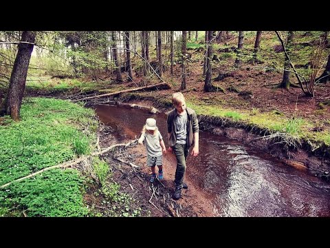 VILDMARKSKÄNSLA vid SÖRBYBÄCKEN #2 (Sony EDIT)