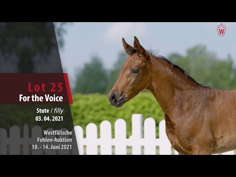 Westfälische Fohlen-Auktion Lot 25 For the Voice Stute v. For Gold - Sandro Hit