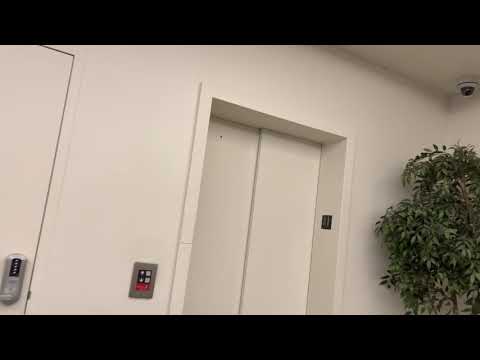 WEIRD SETUP: Two OTIS Hydraulic Elevators (One Original, One Modernized) at 688 White Plains Road