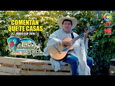 Comentan Que Te Casas - Esplendidos De Salvia Video Clip Oficial 2019