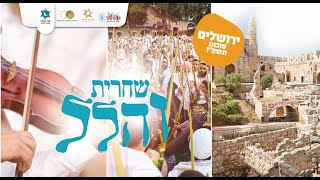 שחרית והלל בשירה שמחה וכוונת הלב מול חומות העיר העתיקה | הרב שמואל אליהו | חול המועד סוכות תשפ"ו (הרב שמואל אליהו) - התמונה מוצגת ישירות מתוך אתר האינטרנט יוטיוב. זכויות היוצרים בתמונה שייכות ליוצרה. קישור קרדיט למקור התוכן נמצא בתוך דף הסרטון