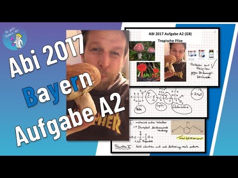 Chemie Abitur 2017 A2 aus Bayern. Kunststoffe, Proteasen. Polyaddition, Polykondensation, Enzyme.