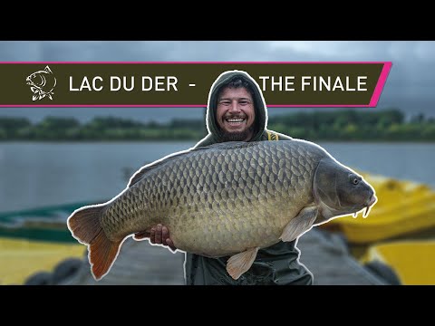 French CARP FISHING - Carplifer on LAC DU DER
