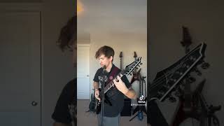 Necrophagist - The Stillborn One