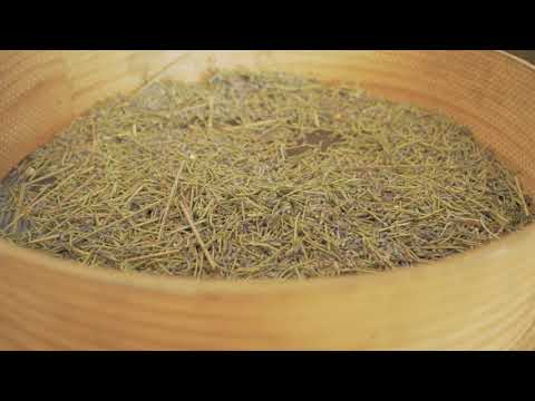 Boas Práticas para o Desenvolvimento Rural no Distrito de Portalegre