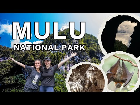 Mulu National Park: The Largest and Longest Caves in the World!