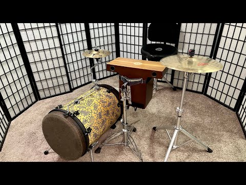 Adaptations of a legged djun-djun