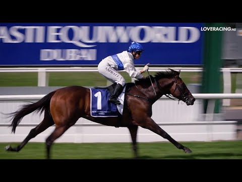 What A Weekend - 12 November