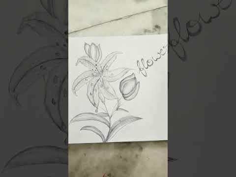 flower drawing