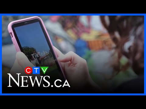 TikTok pulls sponsorships as it prepares to shut down in Canada