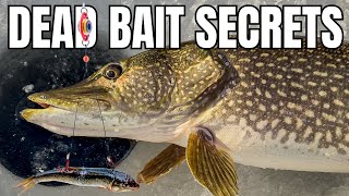 Ice Fishing With Dead Bait: The Most Overlooked Way to Catch Big Pike!