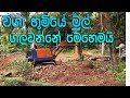 වගාවන් සදහා බිම් සැකසිම Bim Sakasima කහ සහ ඉගු