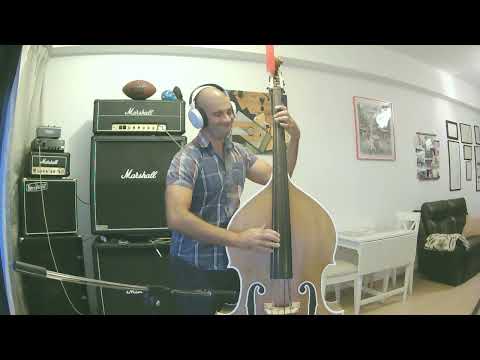The Top Cats - Please Mama Please (Double Bass Slap Cover)