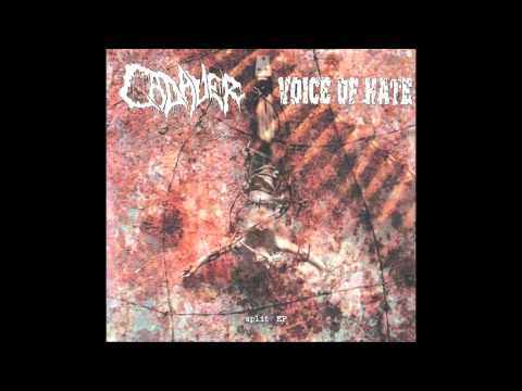 Voice of Hate - split 7