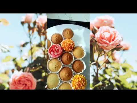 How to decorated my gorgeous new cupcakes flower bouquet !💐😍