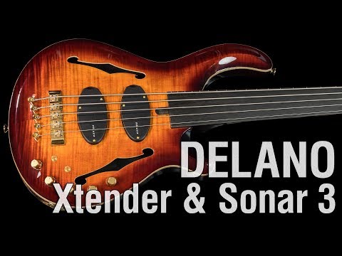 Delano Xtender + Sonar 3 // Mensinger Joker B Fretless Hollowbody