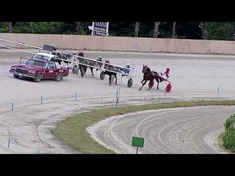 Aversa trotto 30 Maggio 2020 - Prova di qualifica e riqualifica