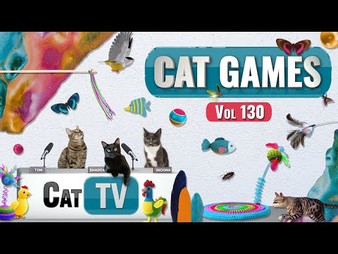 CAT Games | Ultimate Cat TV Compilation Vol 130 | 8 HOURS  🐝🐞🦋🦎🦜🐜🐭🧵