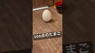 芸術点の高いたまご