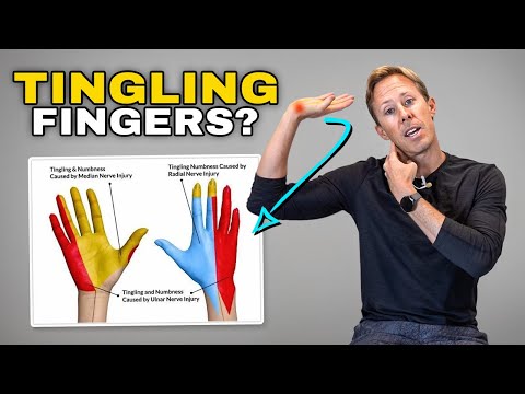 Numb Hands or Tingling? 3 Nerve Glides That Fix Median, Ulnar & Radial Nerve Irritation