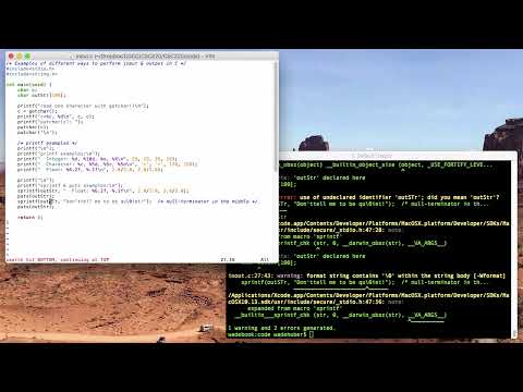Input & Output in C: getchar, putchar, printf, sprintf, puts