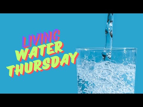 LWT: Apostasy Report