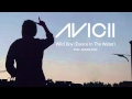 Dear Boy by Avicii