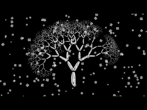 Lone Light youtube-video