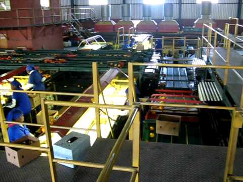 Smitko Packhouse 8.AVI