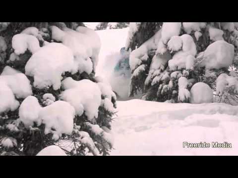 White Grizzly Adventures